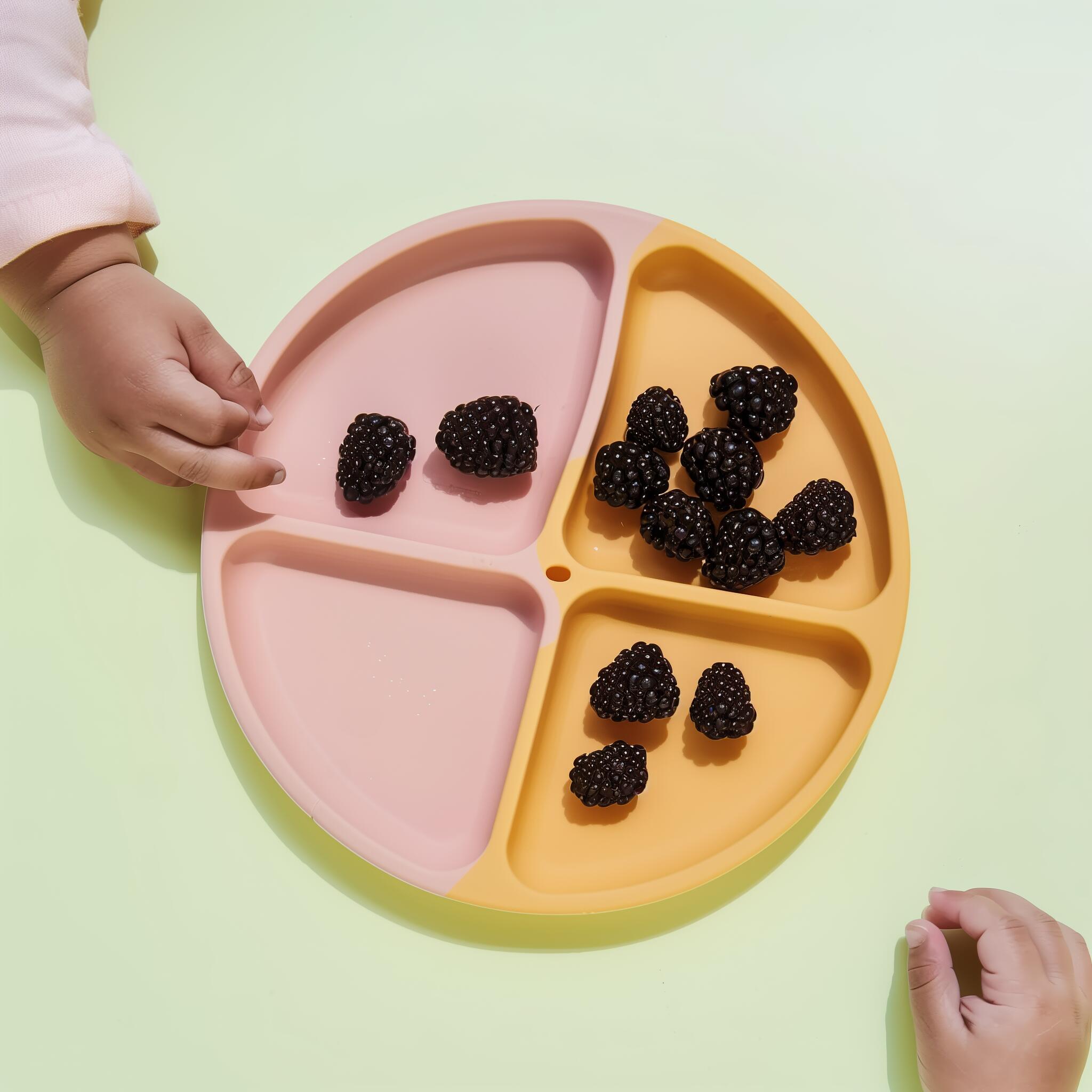 baby feeding plate - nestacular
